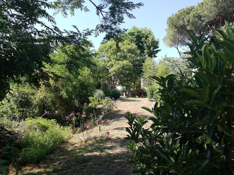 Appartamento Roma, 외부 사진